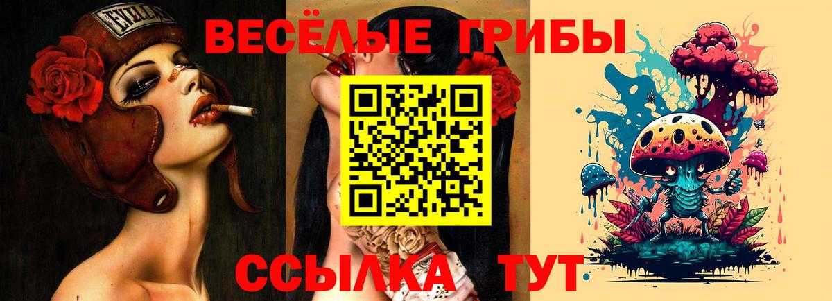 Псилоцибиновые грибы GOLDEN TEACHER  Псилоцибиновые грибы ЛСД  Вязники  Вход с VPN 
